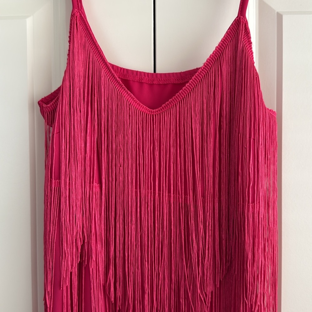 Elegant Pink Fringe Dress
